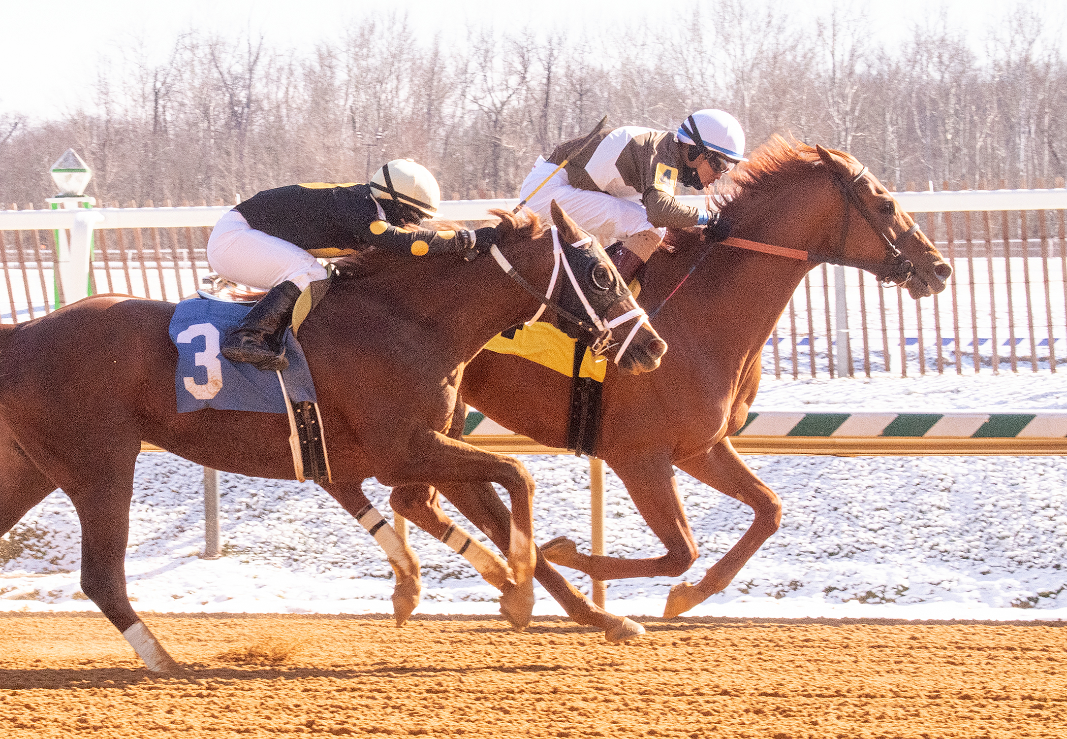 Cordmaker wins the Jennings 1-29-2022