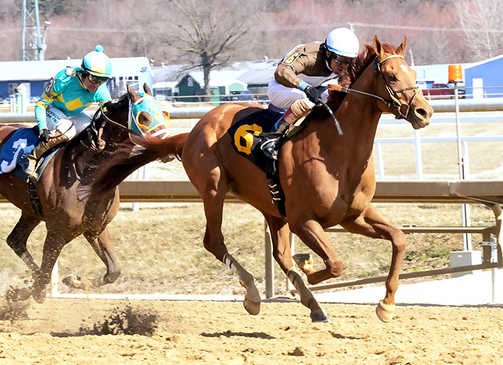 Cordmaker wins the 2019 Harrison L. Johnson Memorial