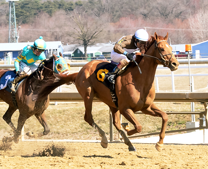 Cordmaker wins the Harrison E. Johnson Memorial Stakes