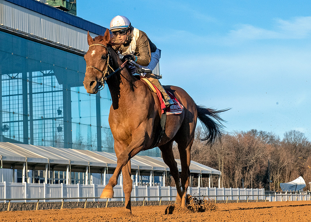 Cordmaker wins the 2021 Robert T. Manfuso Stakes at Laurel Park