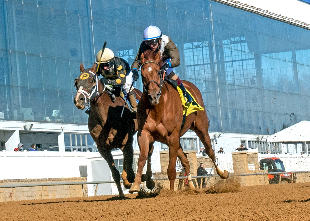 Cordmaker (right) wins the 2021 Jennings Stakes at Laurel Park