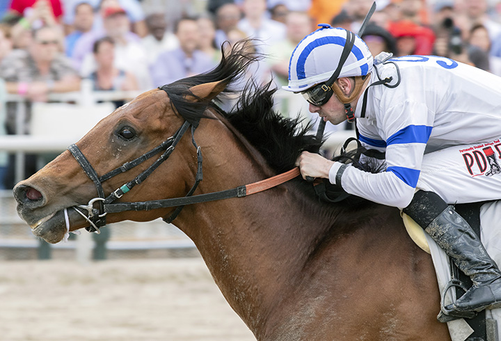 Core Beliefs wins the 2019 New Orleans Handicap