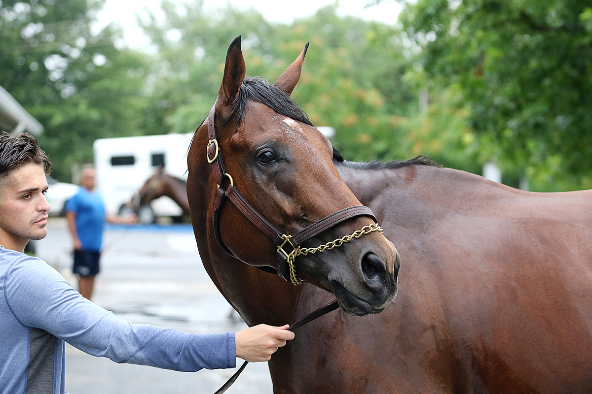 Core Beliefs at Monmouth Park on July 25