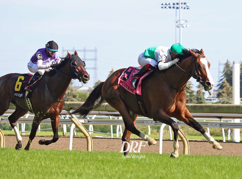 Corelli dominó el Singspiel Stakes en Woodbine