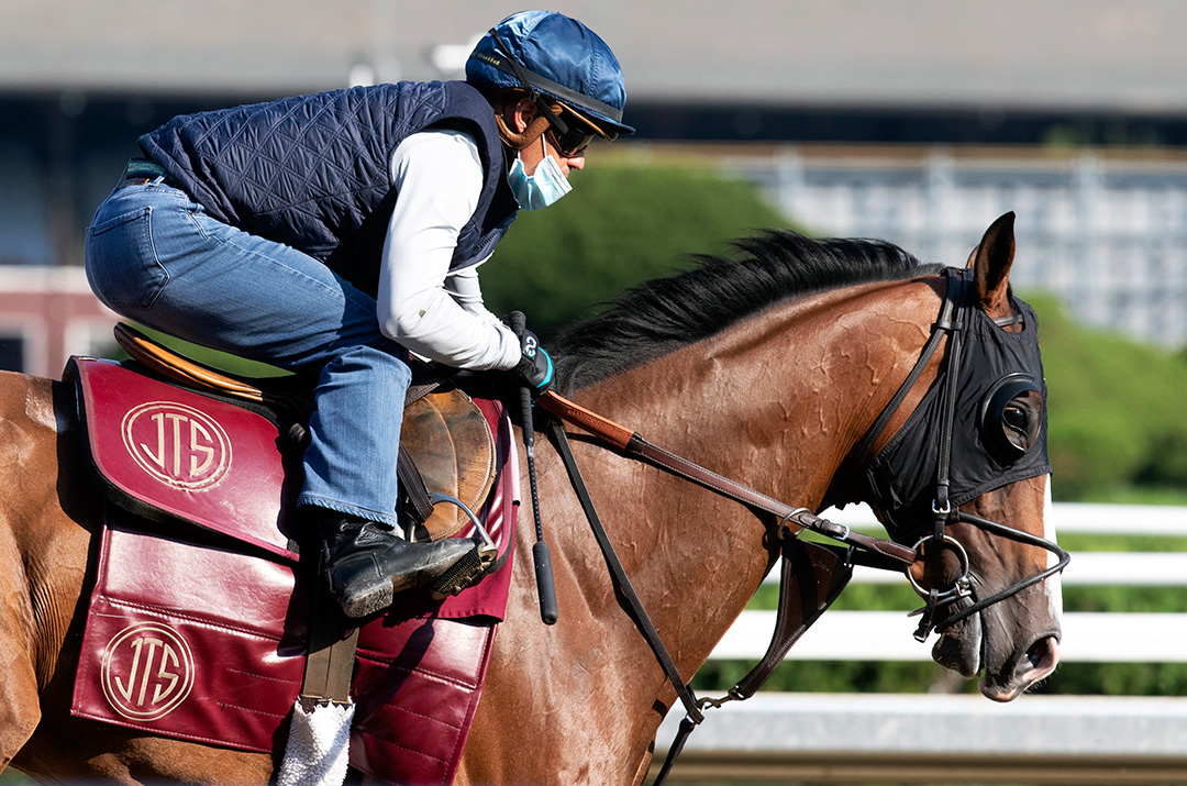 Corelli trains at Saratoga Race Course on Aug. 9