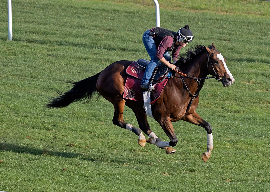 Corelli trains at Belmont on Oct. 3