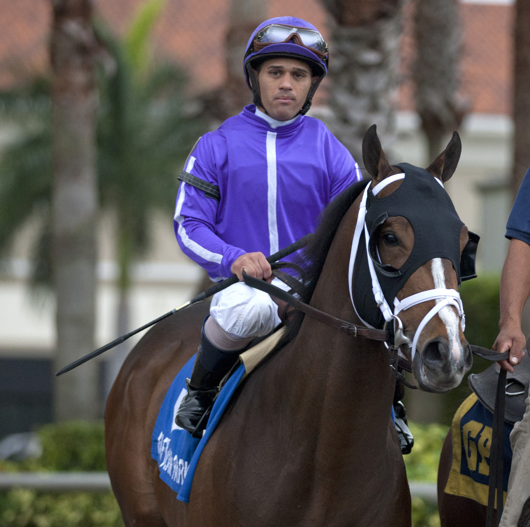 Corfu finishes eighth in the Spectacular Bid