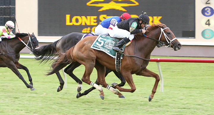 Corluna wins the 2019 Danny Shifflet Scholarship Stakes