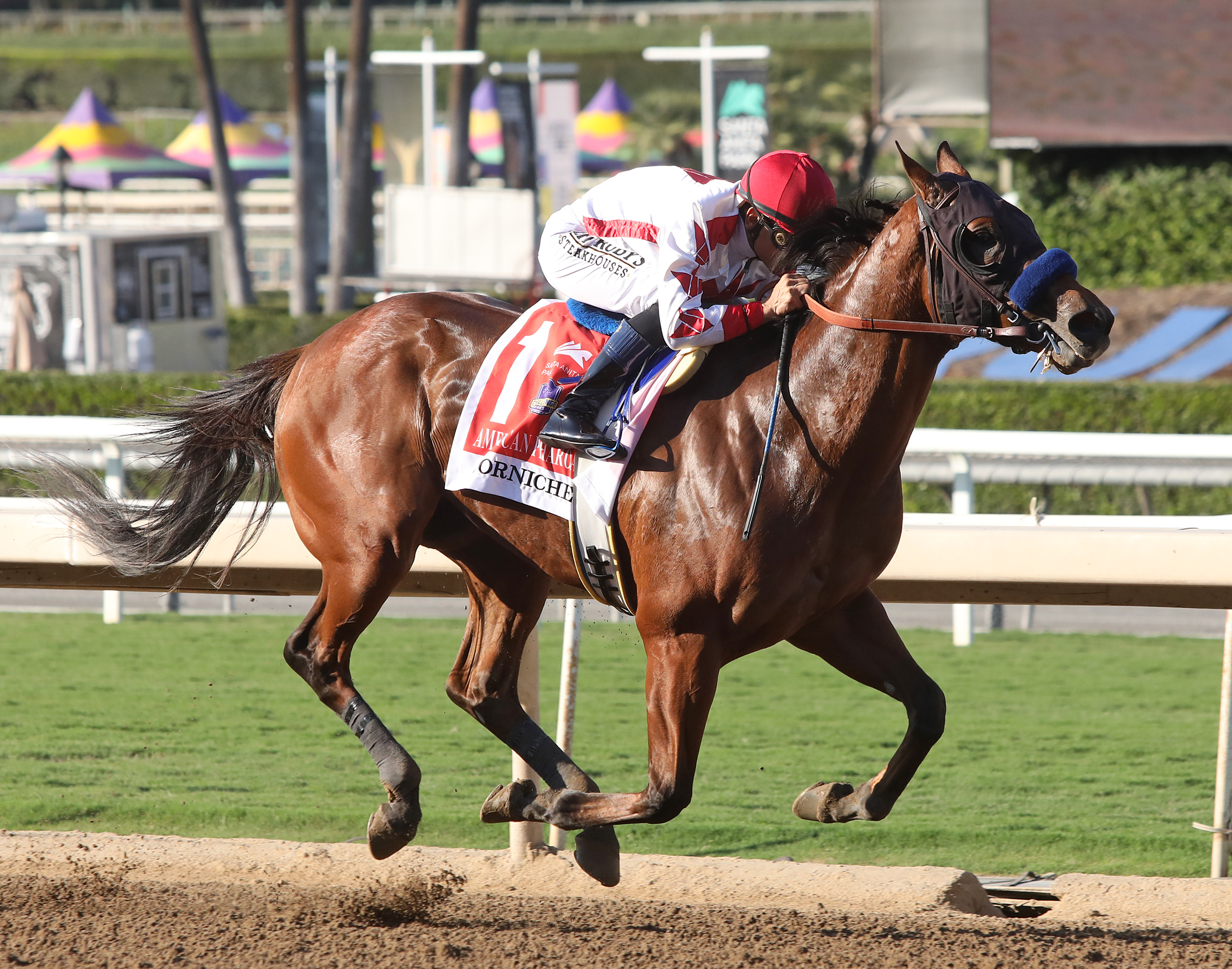 Corniche . American Pharoah S. 2021
