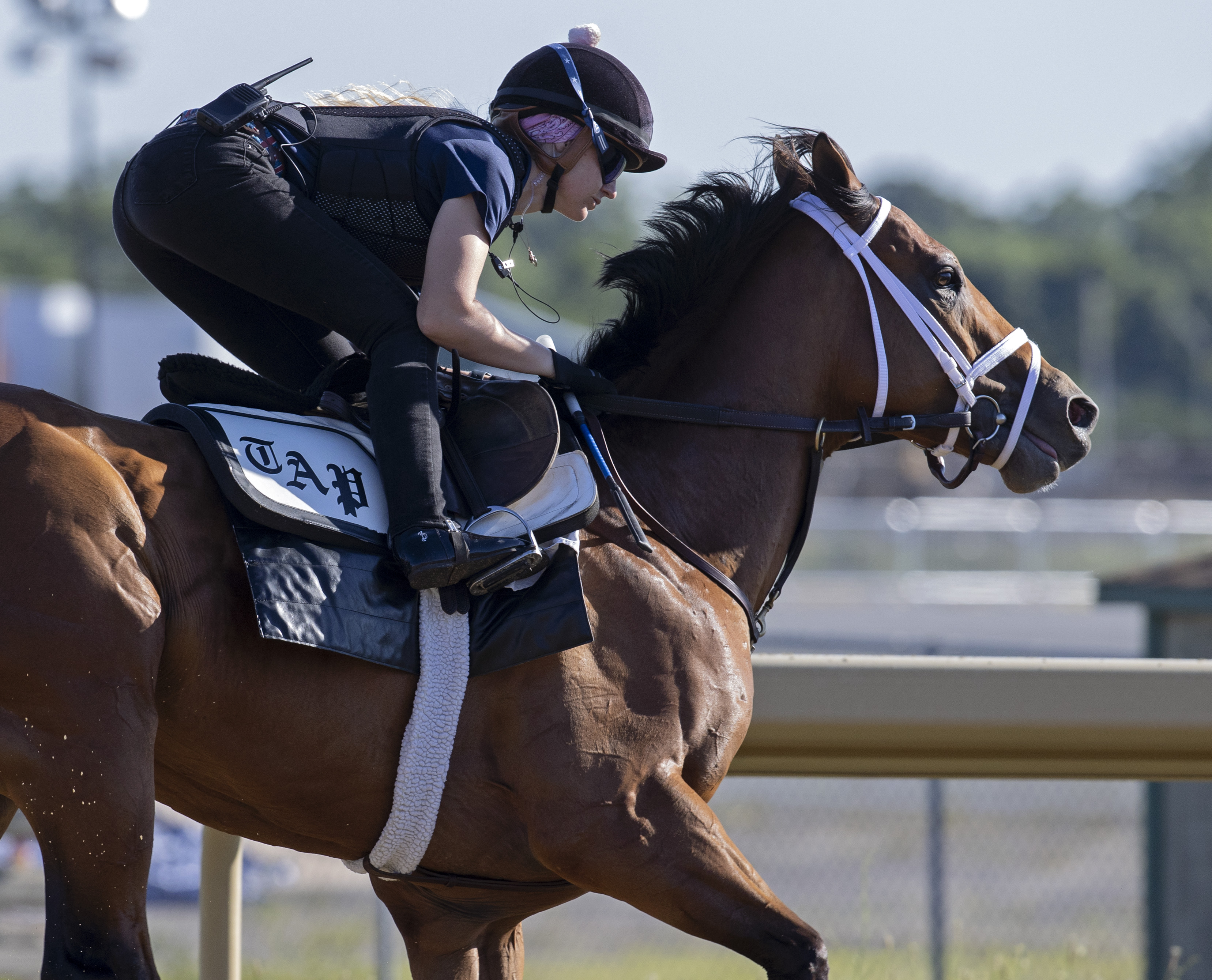 Corniche works three furlongs at Belmont on June 10 2022