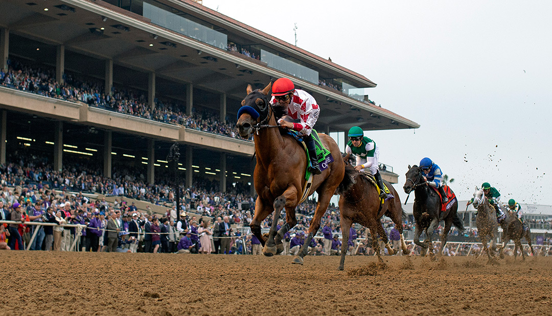 Corniche wins the 2021 Breeders' Cup Juvenile at Del Mar