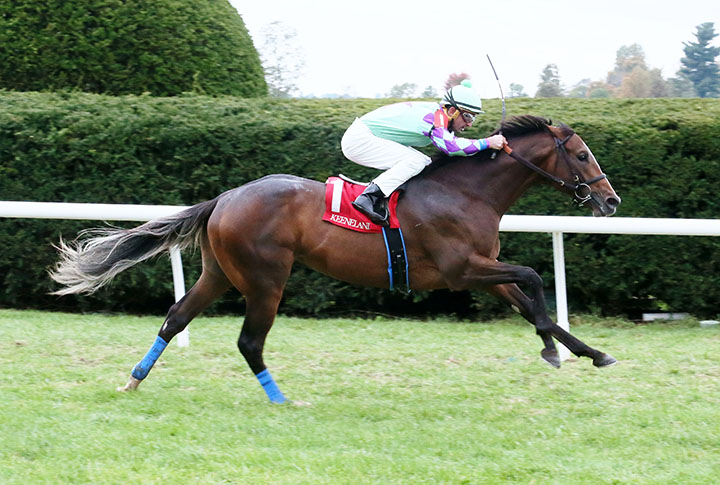 Corruze wins an Oct. 27 maiden race
