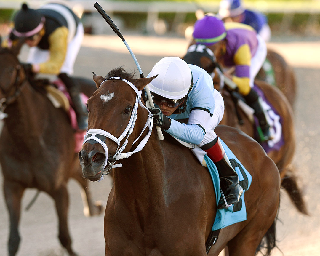 Cory Gal wins a May 3 allowance at Gulfstream Park