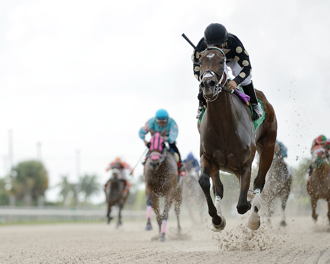 Cory Gal wins an October 2020 allowance at Gulfstream Park West