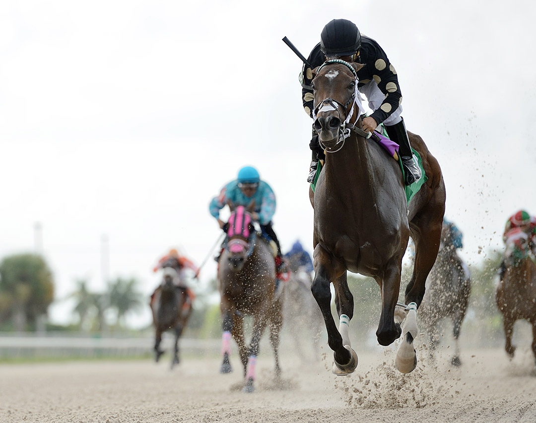 Cory Gal wins an October 2020 allowance at Gulfstream Park