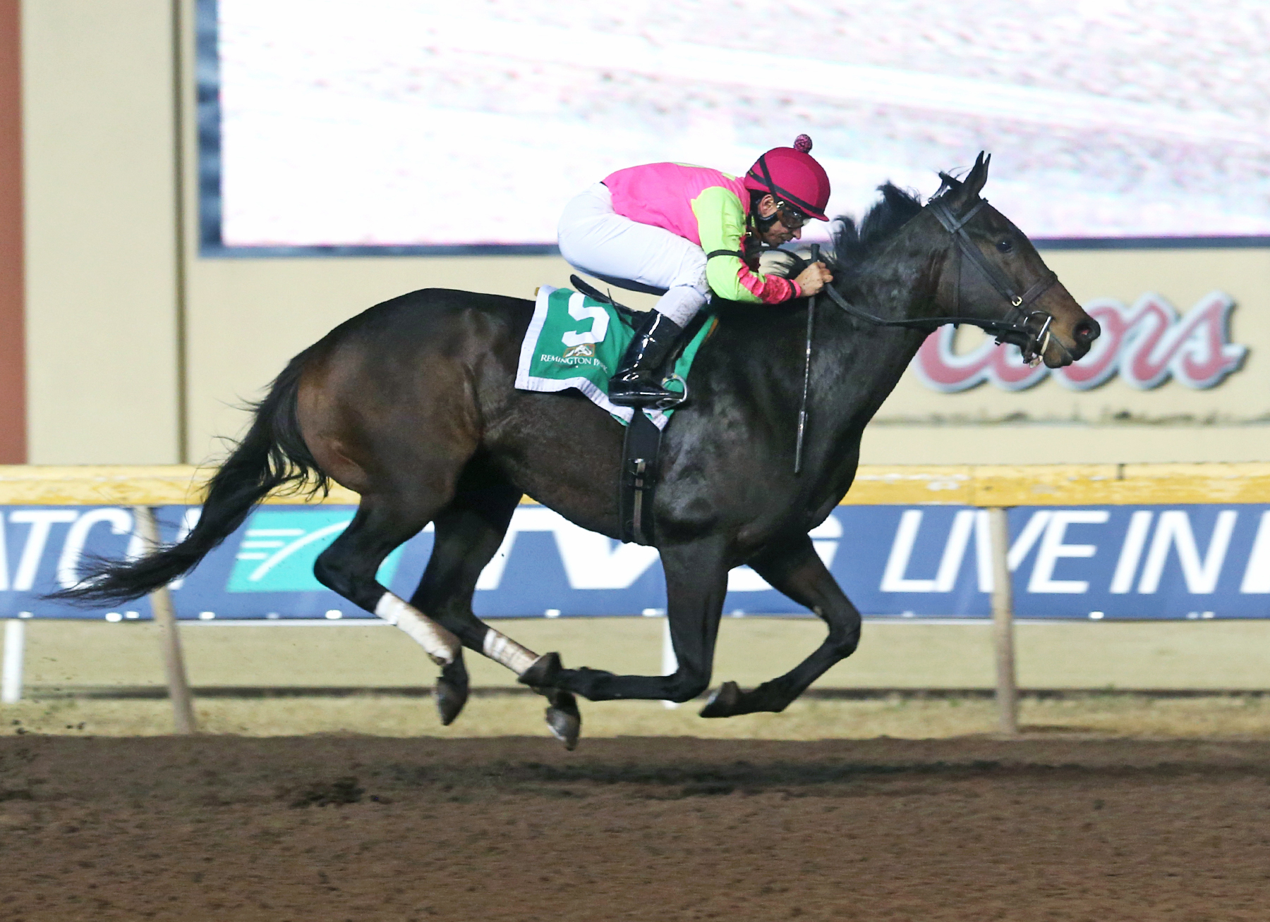 Cosmic Burst wins the 2017 Trapeze Stakes