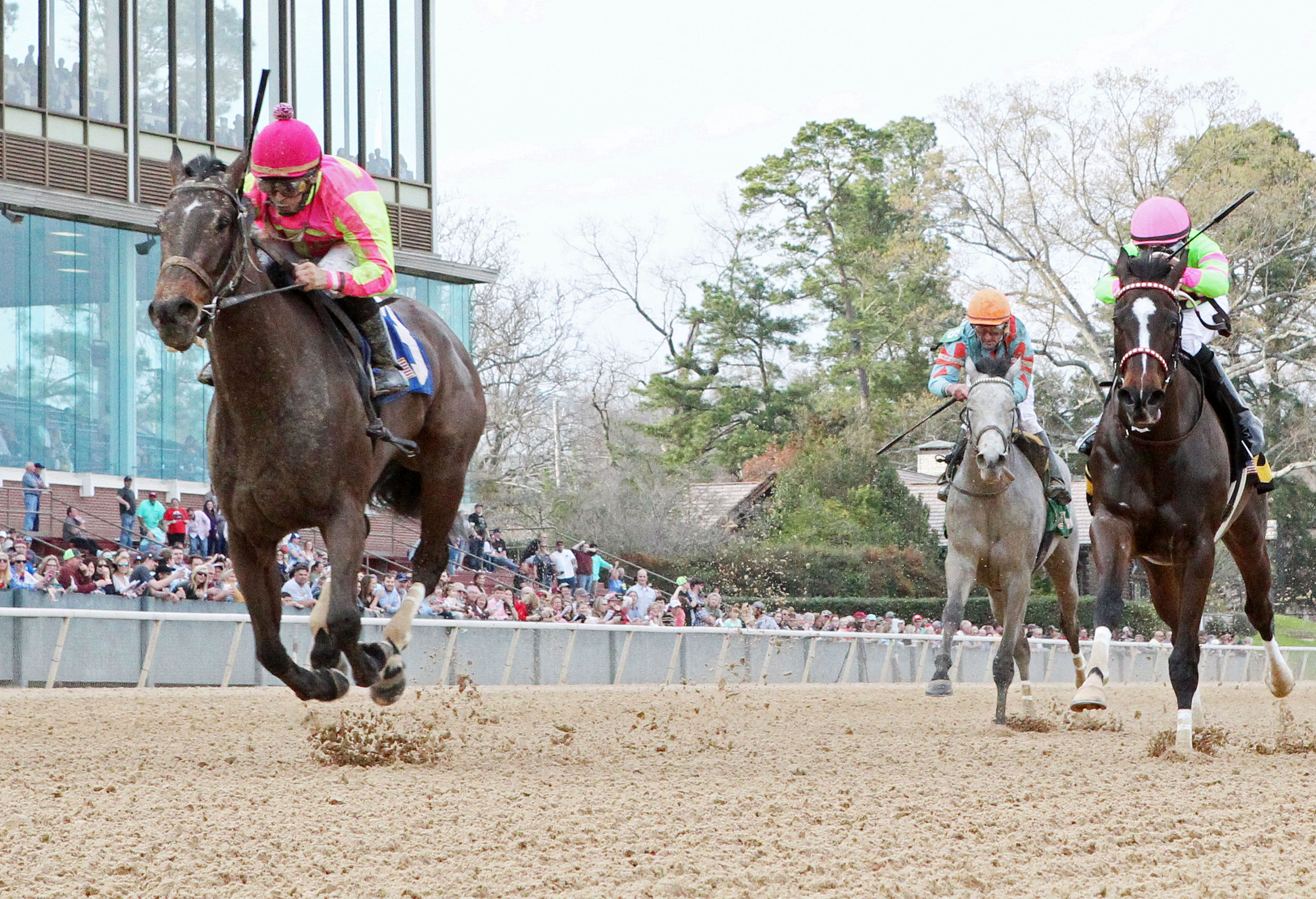Cosmic Burst wins the 2018 Honeybee Stakes