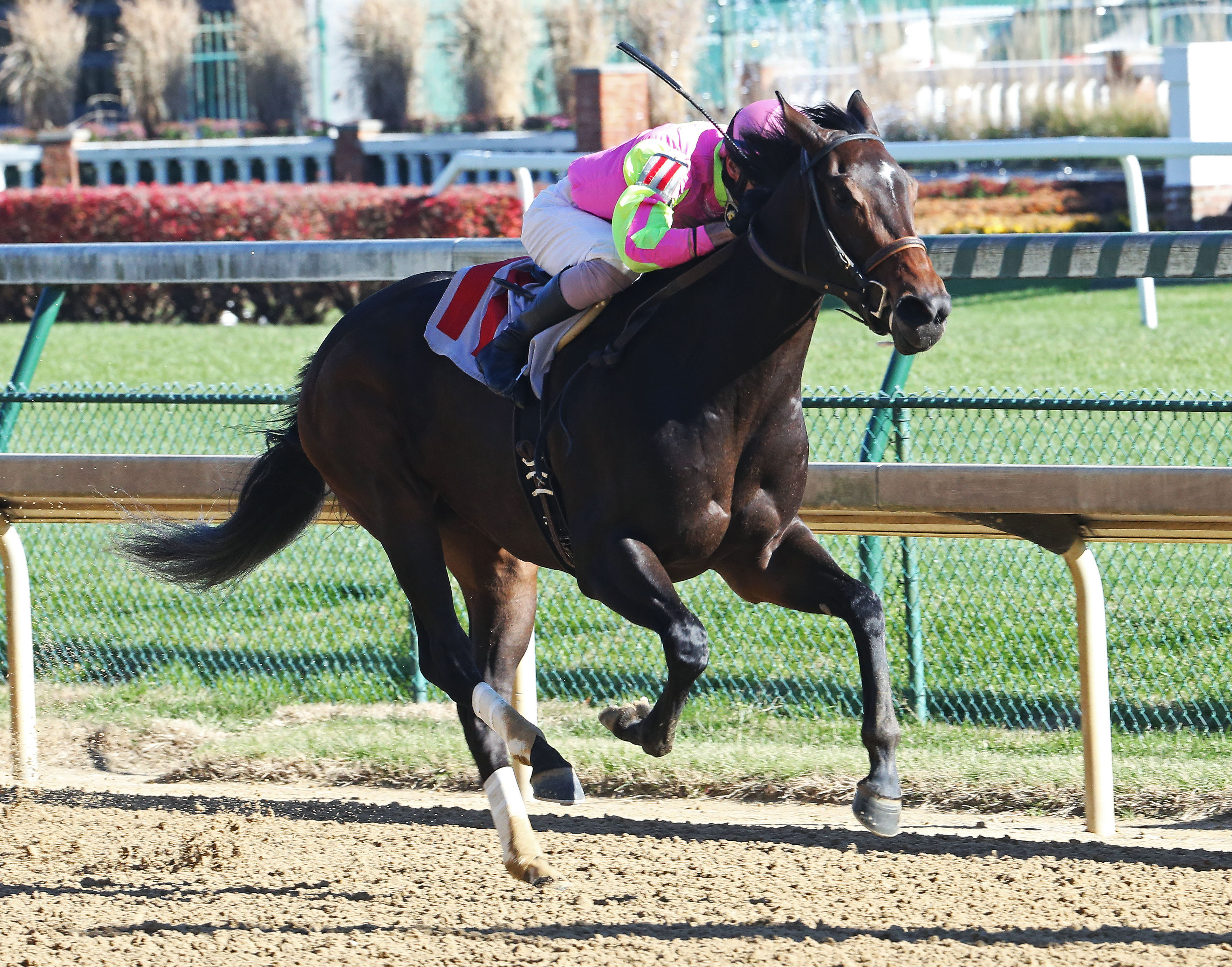 Cosmic Burst wins a Nov. 25 optional claimer