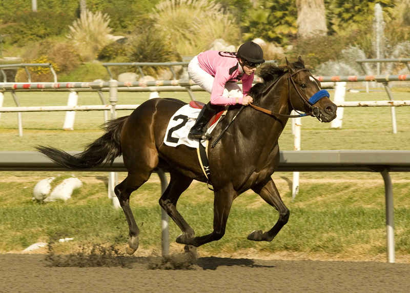 Cost of Freedom 12-11-2010