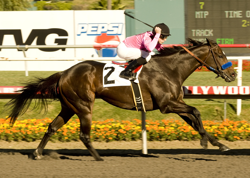 Cost of Freedom wins Underwood