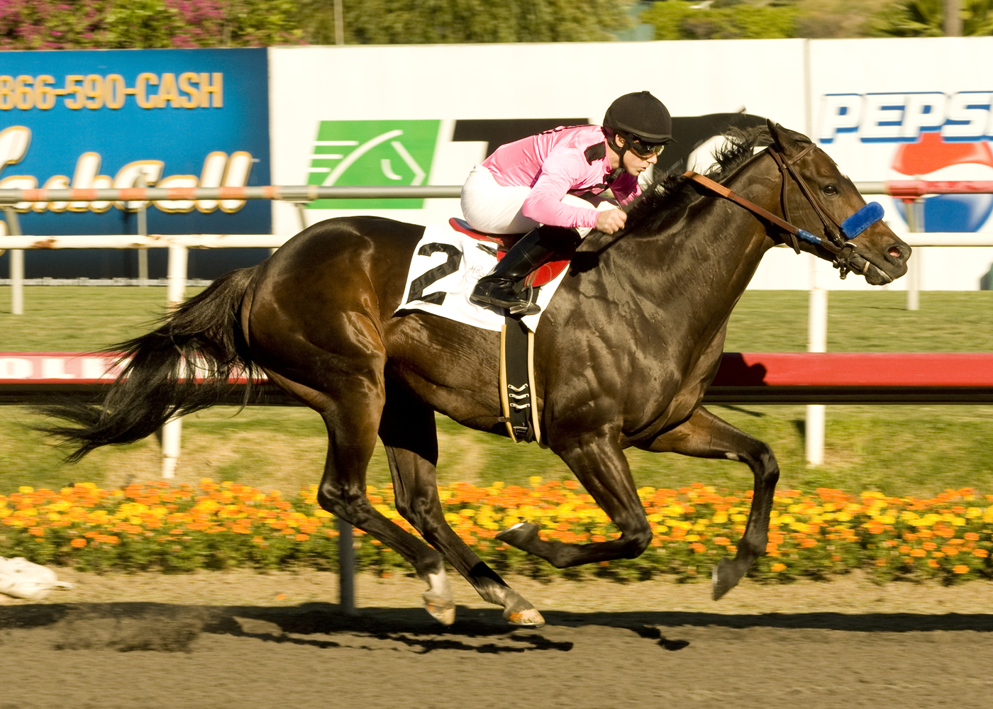 Cost of Freedom 11-25-2010