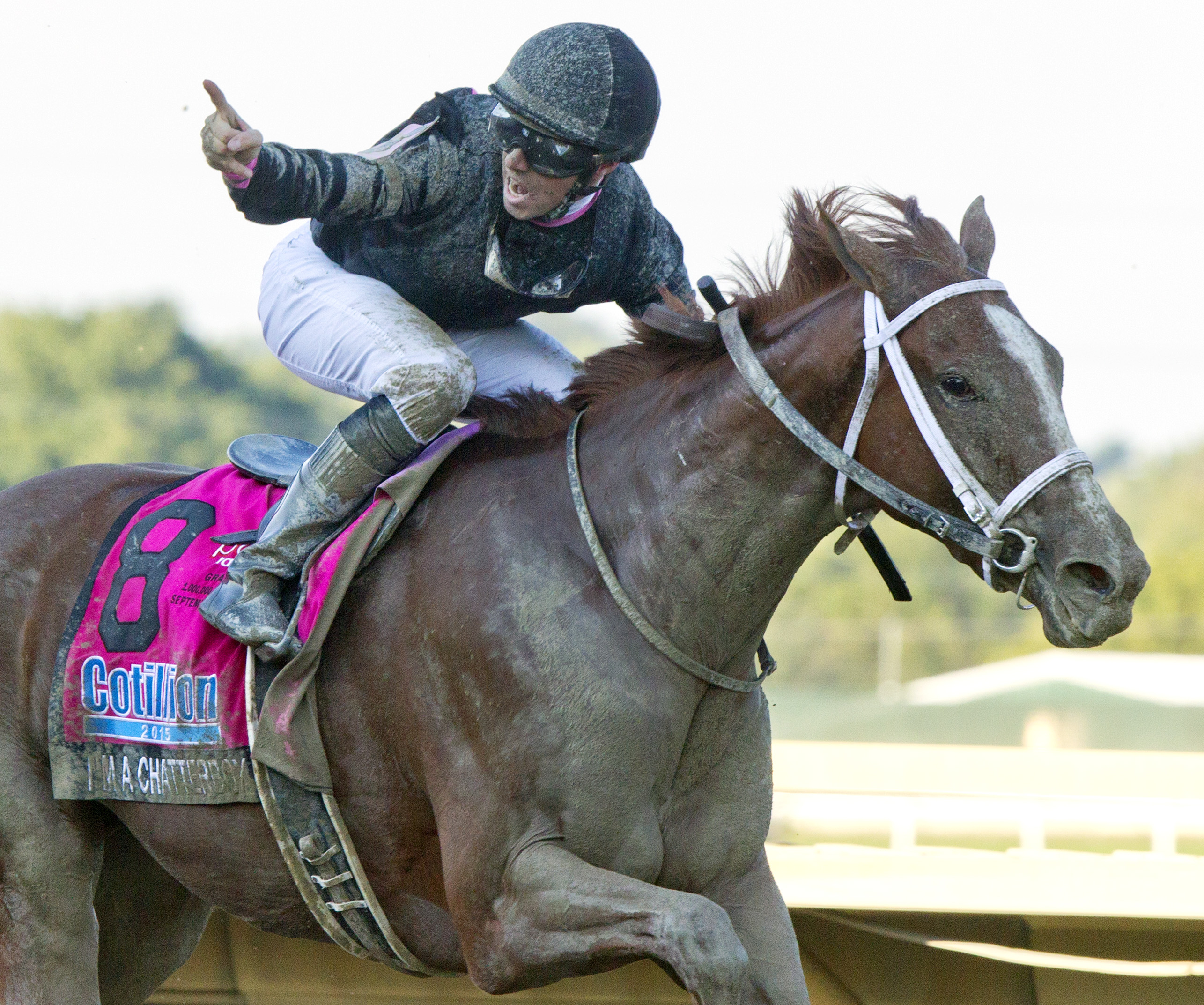 I'm a Chatterbox wins 2015 Cotillion