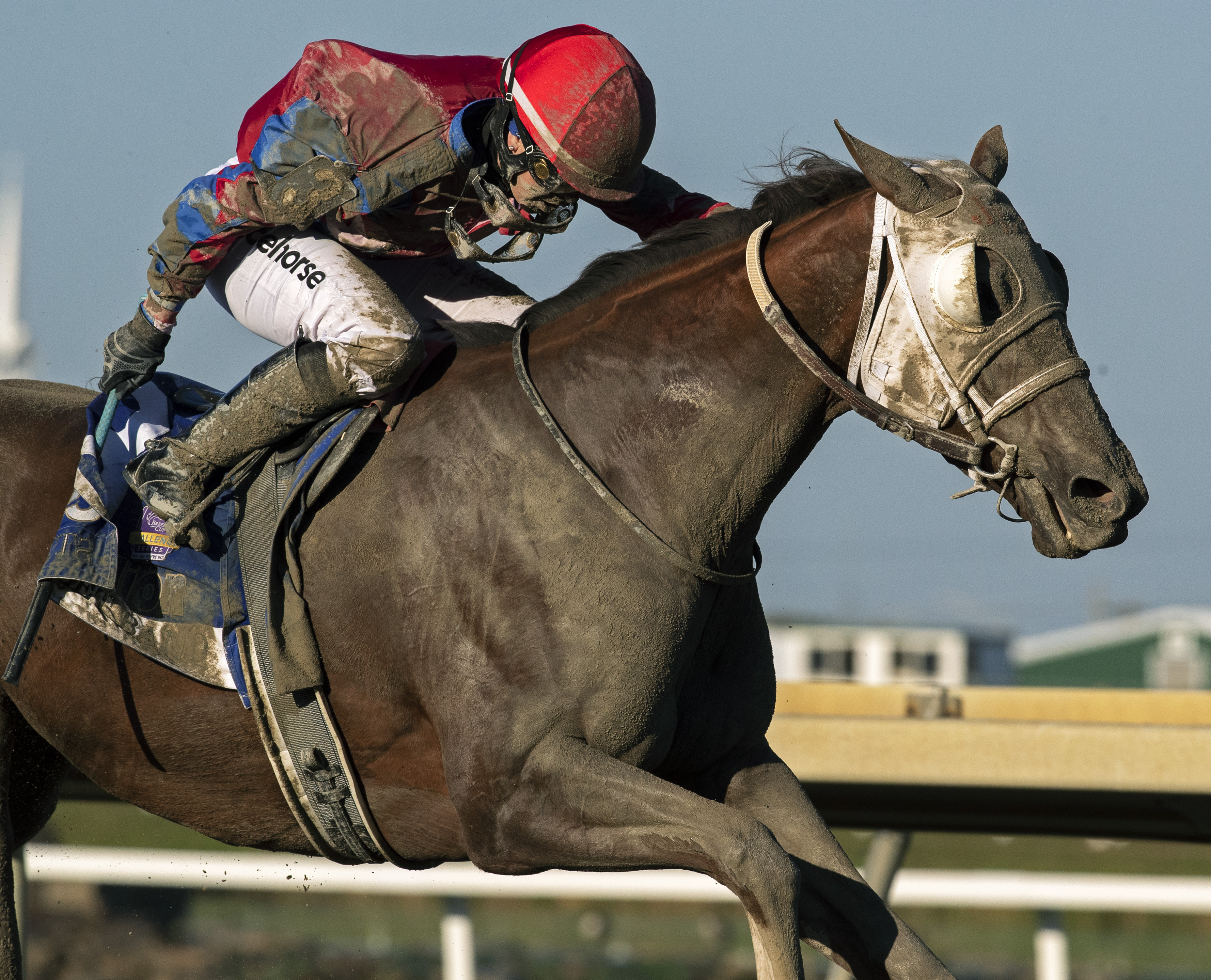 Street Band wins the 2019 Cotillion Stakes