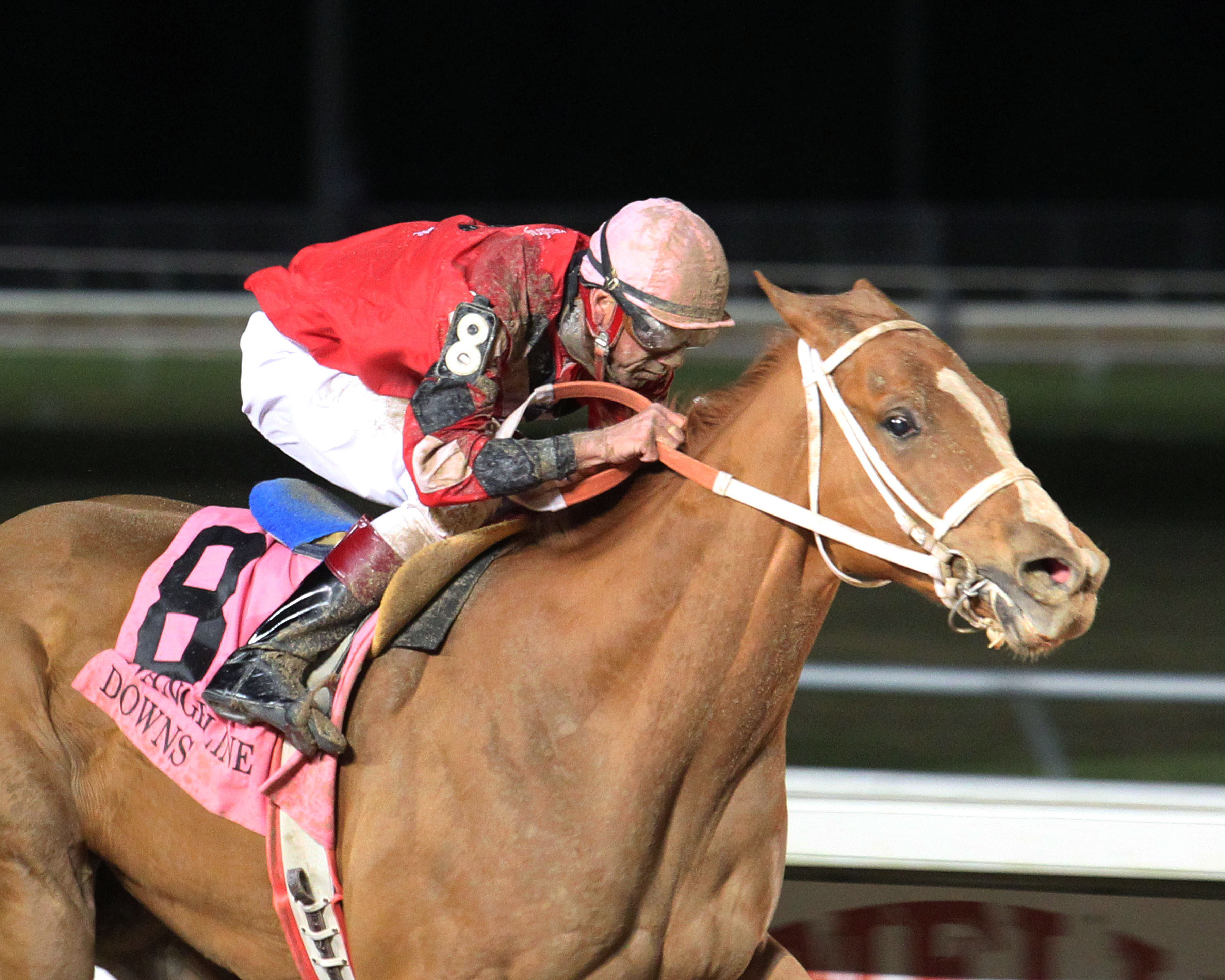 Couche Couche wins the Ragin Cajun