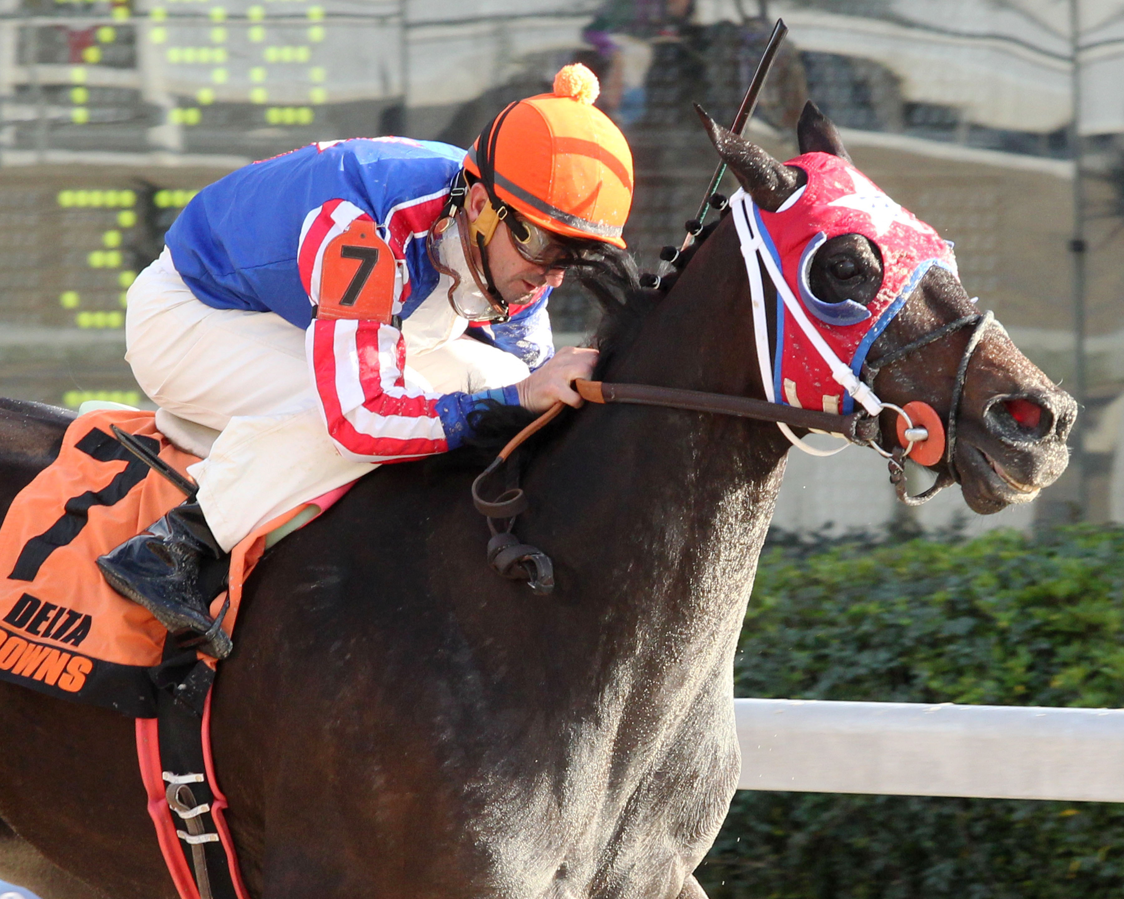 Cougar Ridge wins the Delta Mile Stakes