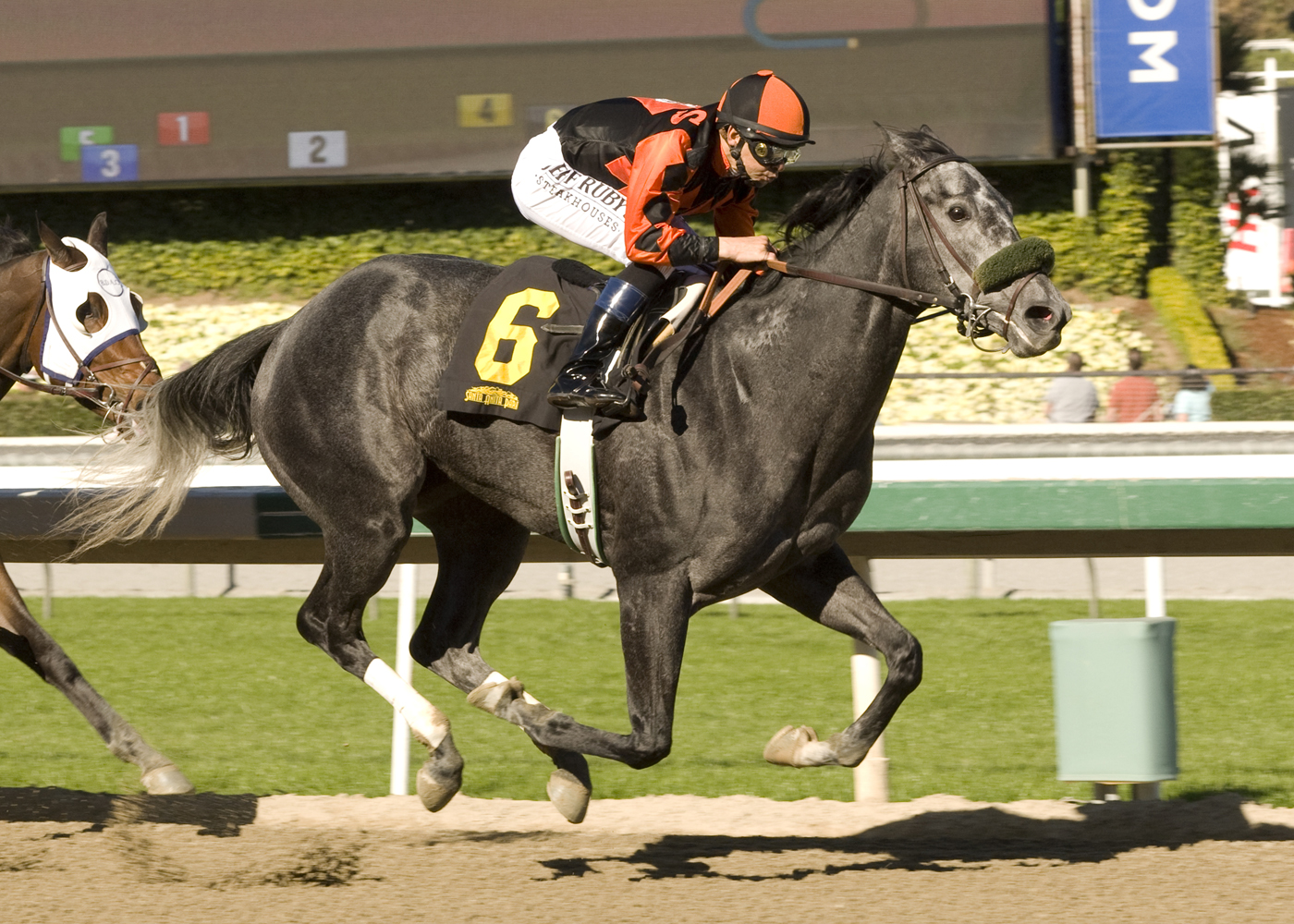 Cougarontheprowl wins a maiden race