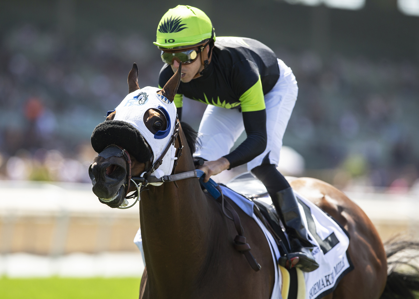 Count Again, Shoemaker Mile