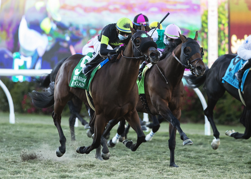 Count Again wins Seabiscuit Handicap 11-28-2020