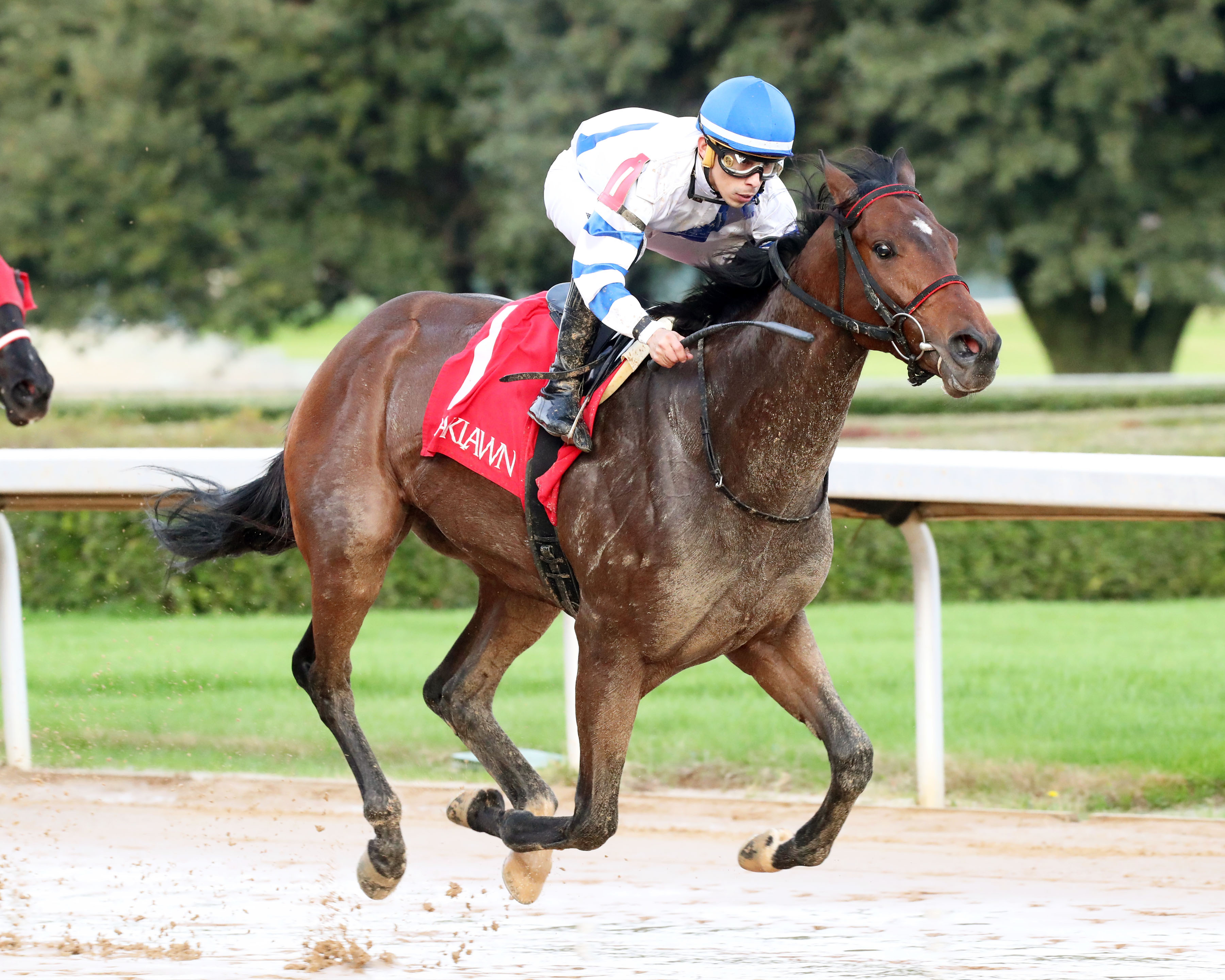 Count de Monet wins Advent Stakes at Oaklawn Dec 9 2022