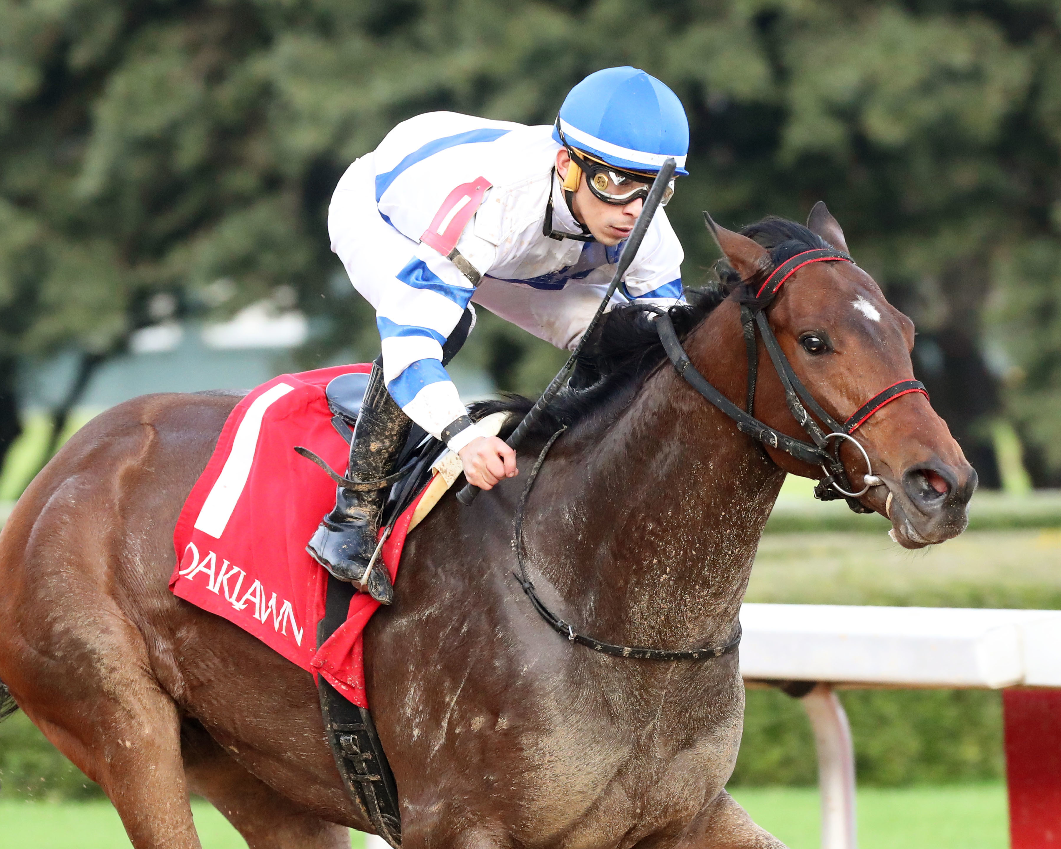 Count de Monet wins the Advent at OP Dec 9 2022