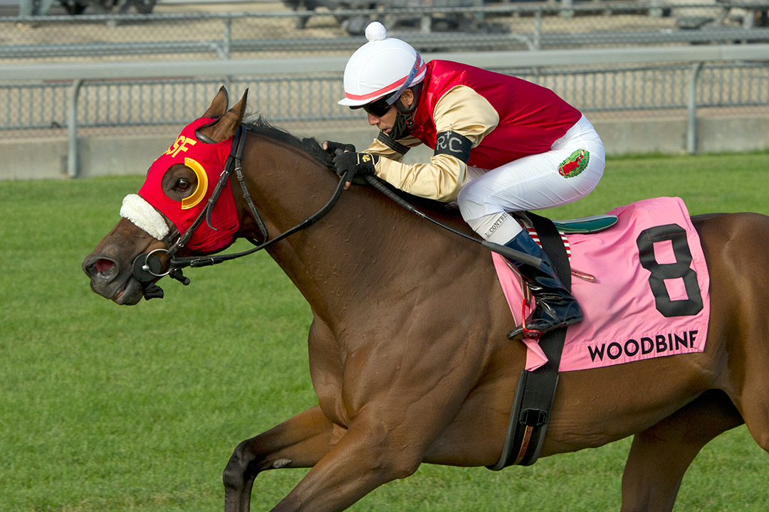Count Again wins the 2020 Singspiel Stakes at Woodbine