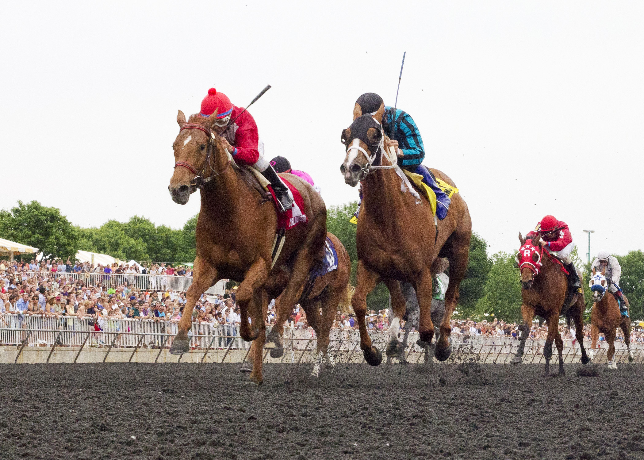 Countess Cashmere wins the Purple Violet