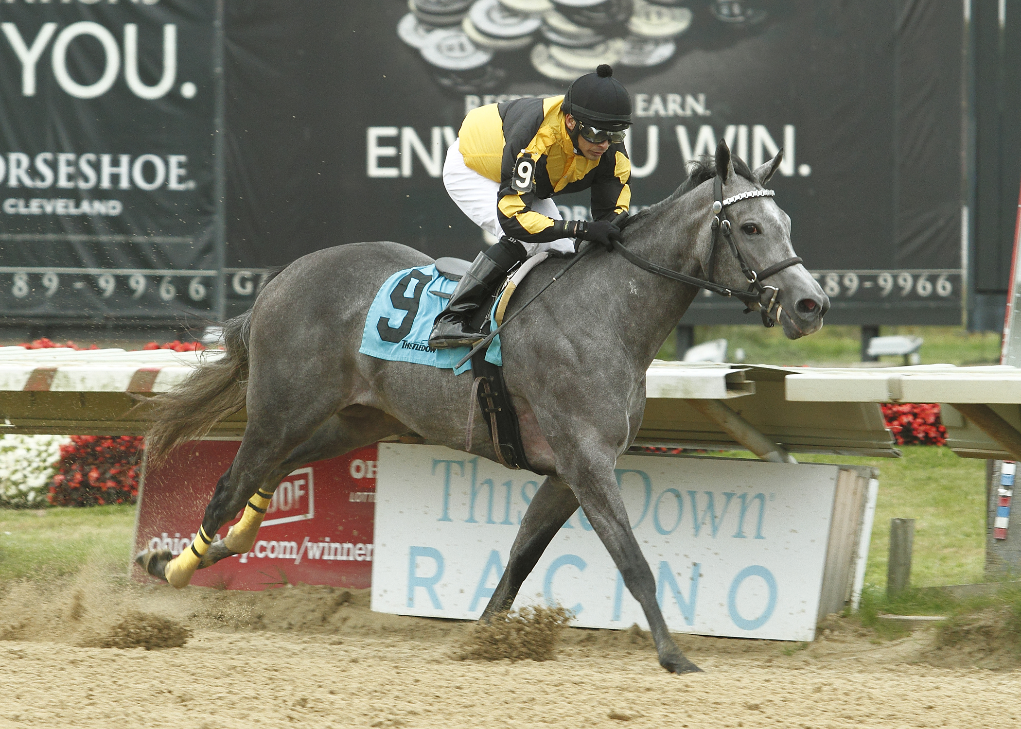 Countess Bling 10-12-2013