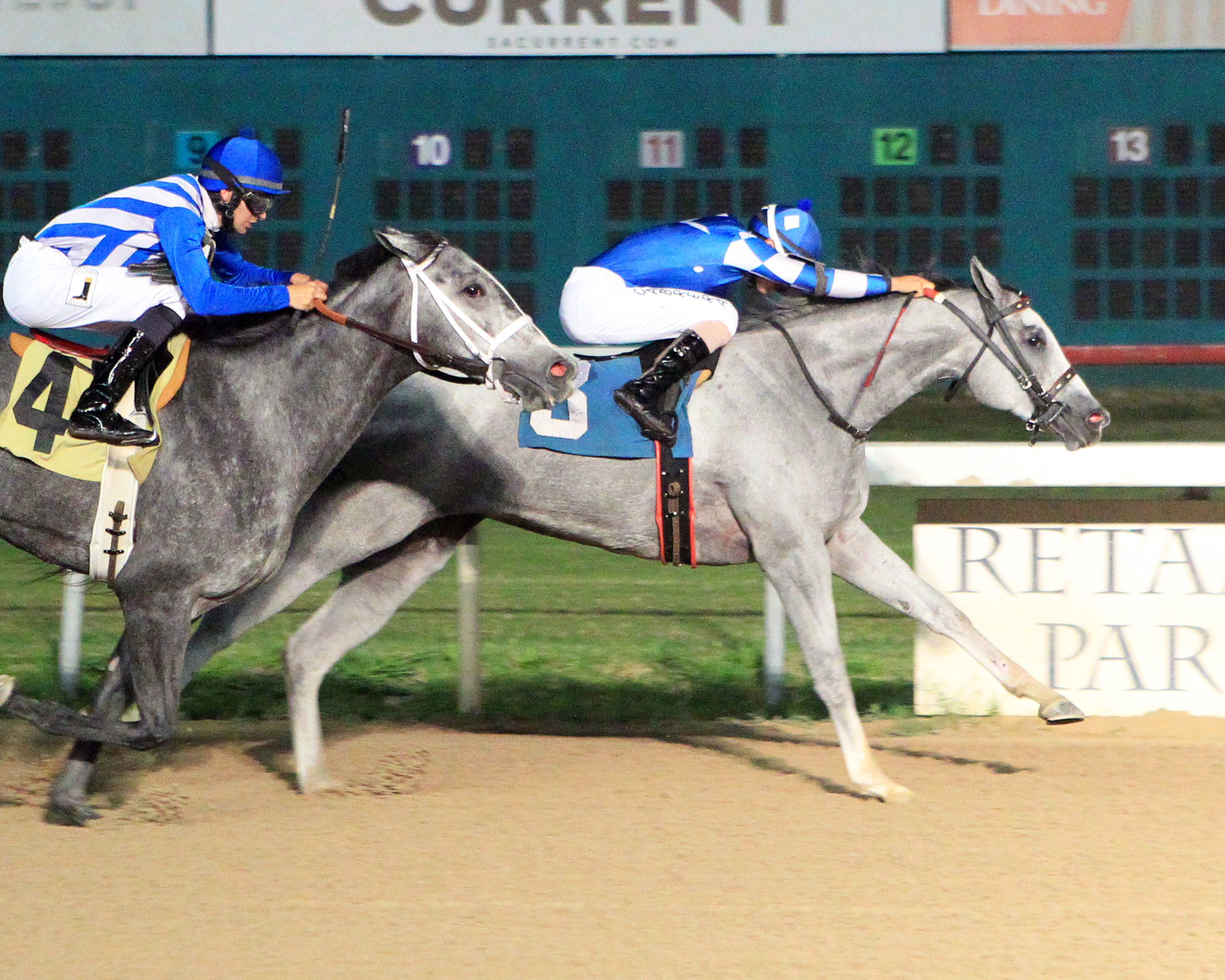 Country Candy wins the Texas Stallion Stakes
