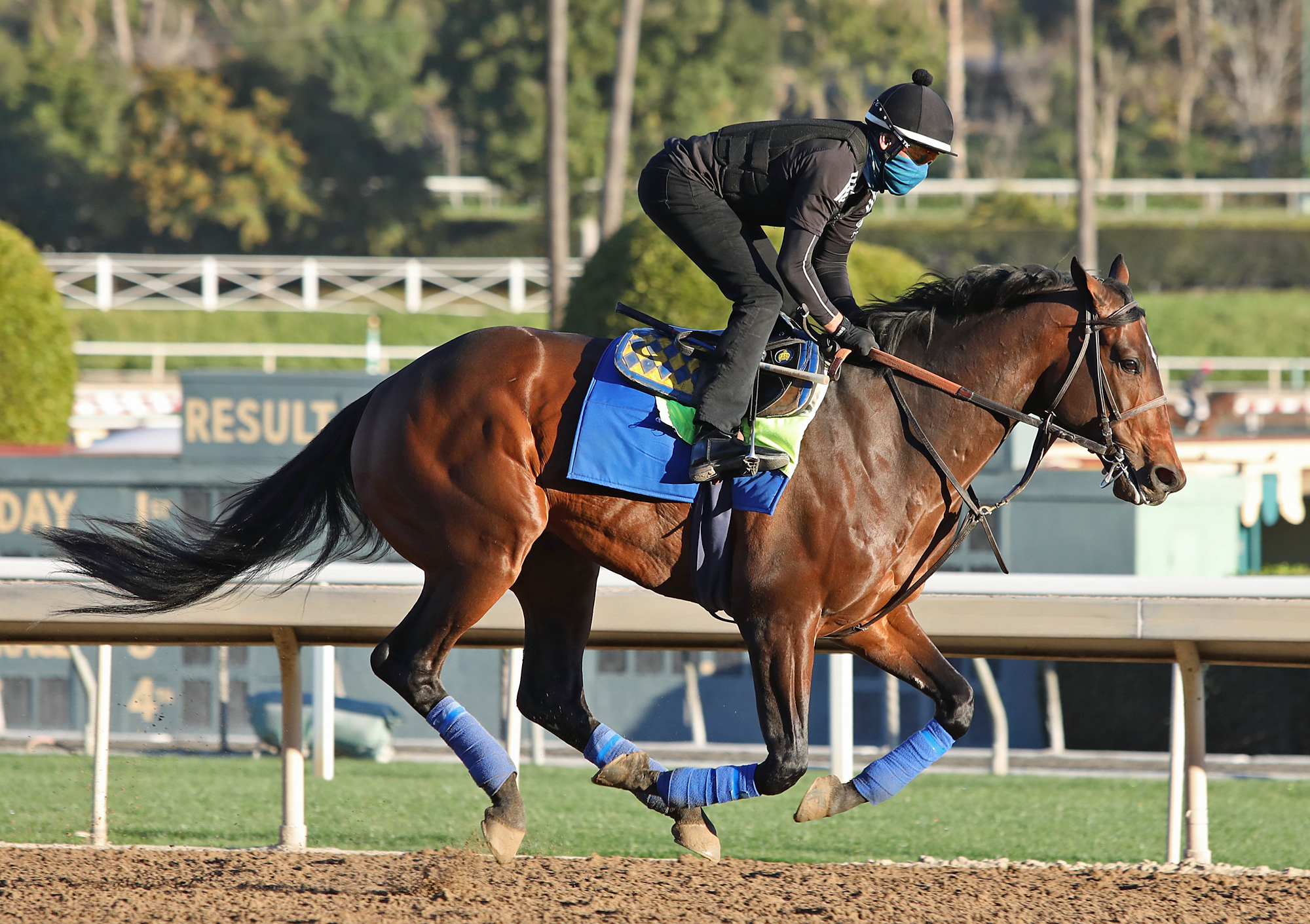 Country Grammer - Santa Anita