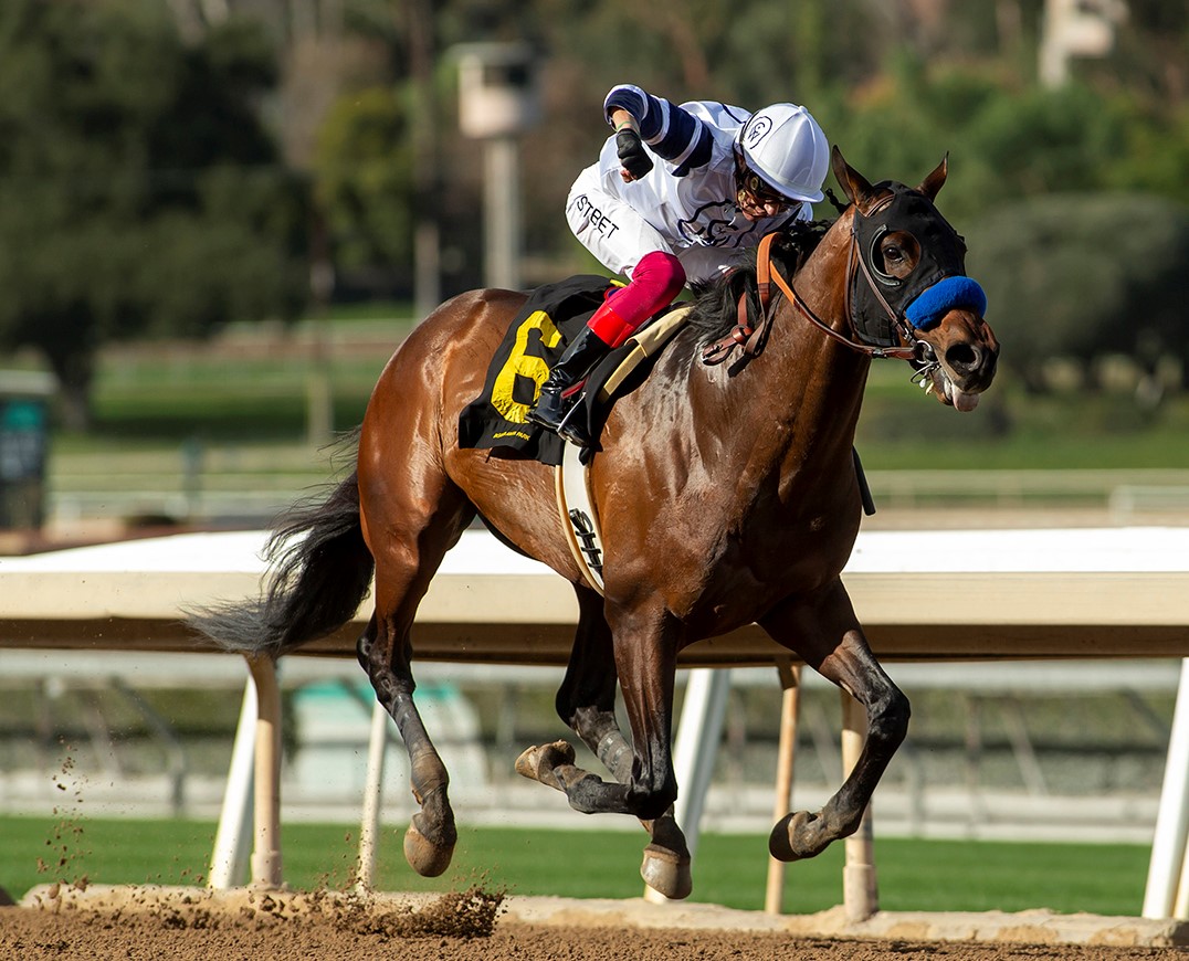 Country Grammer wins San Antonio at SA Dec 26 2022