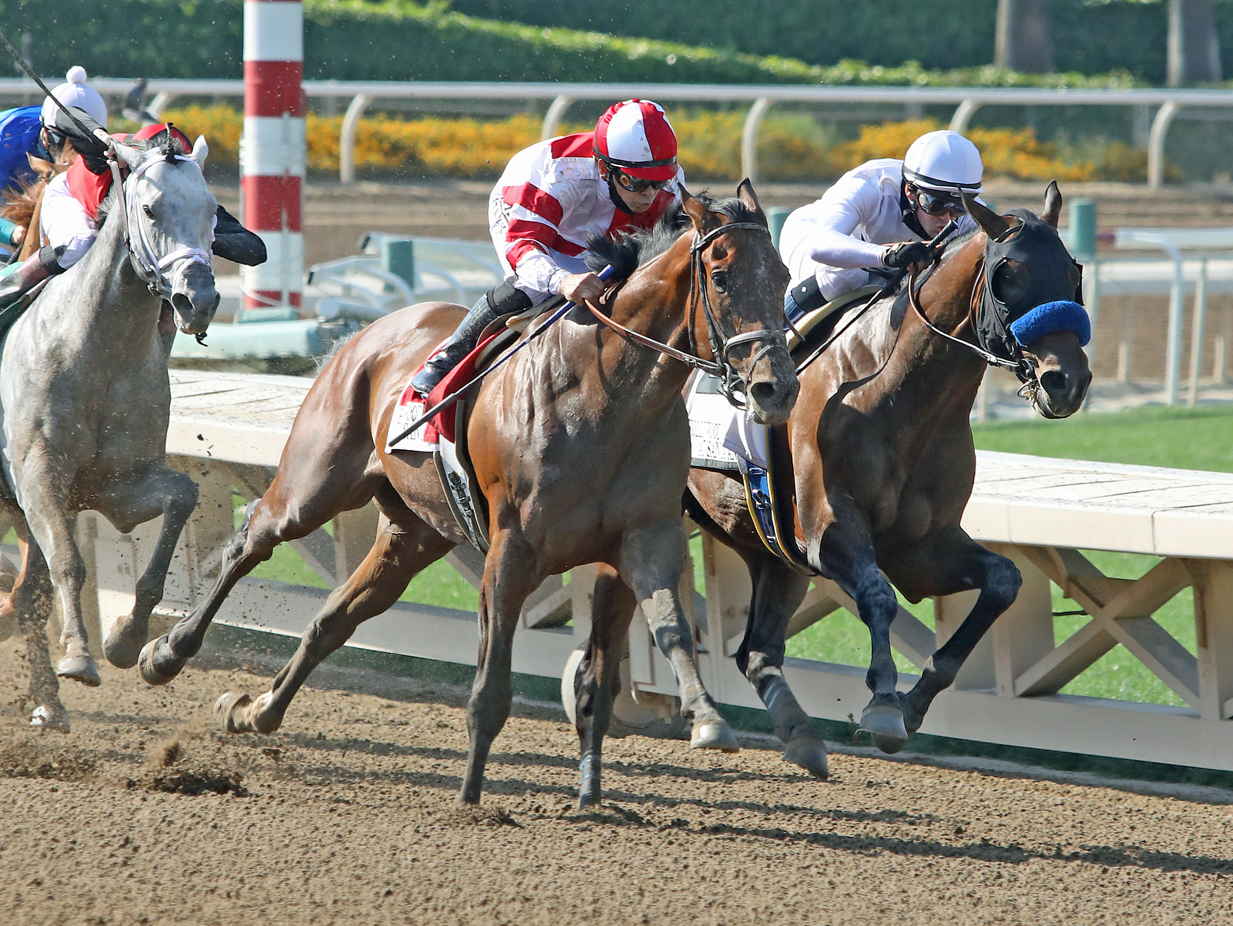 Country Grammer - Hollywood Gold Cup 2021