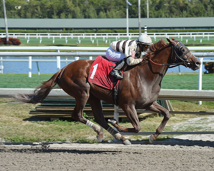 Country House wins a Jan. 17 maiden race