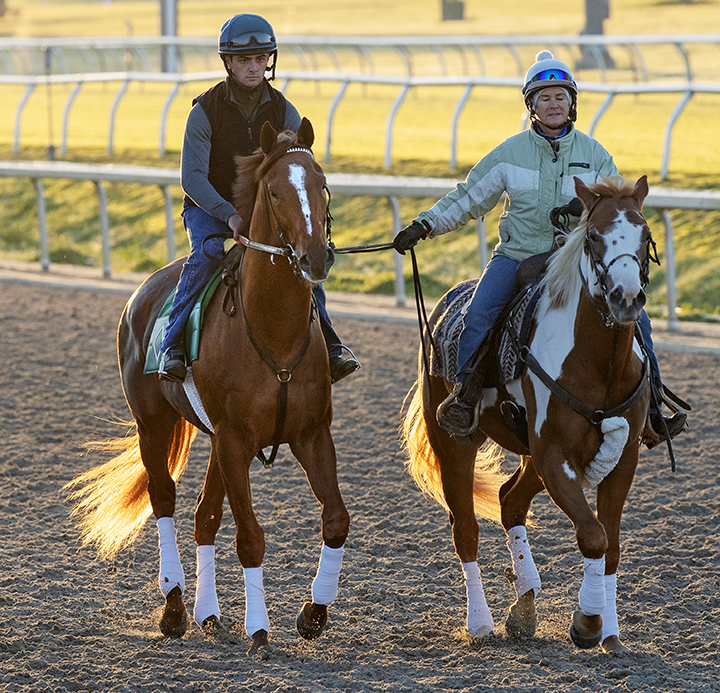 Country House at Fair Grounds on March 20