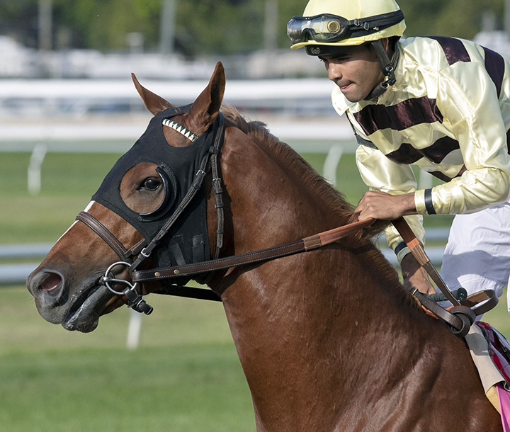 Country House at the 2019 Louisiana Derby