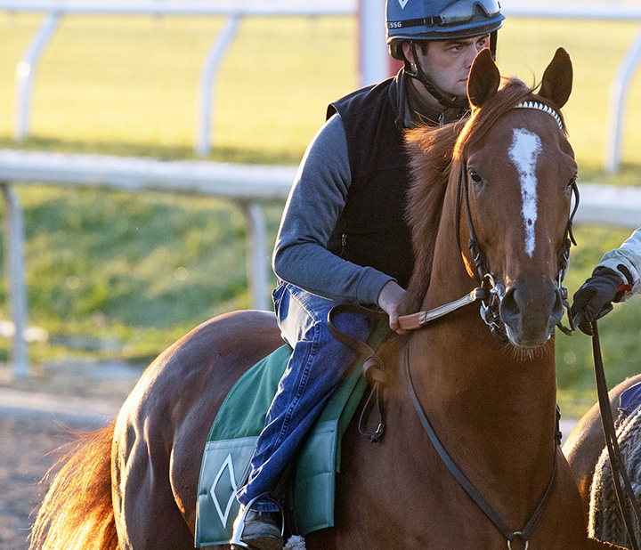 Country House at Fair Grounds on March 20