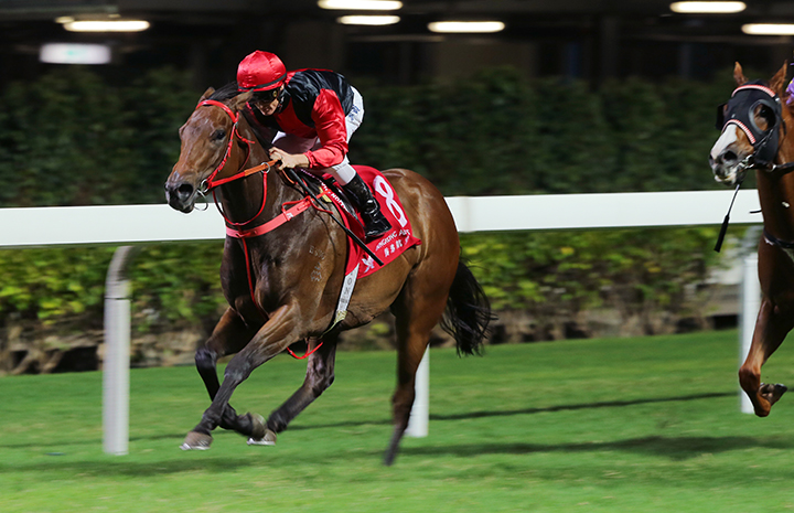 Country Star wins the 2018 Waratah Handicap at Happy Valley