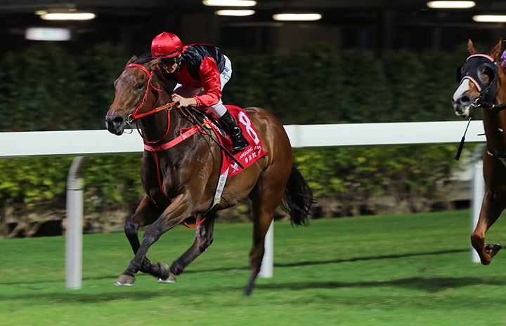 Country Star wins the 2018 Waratah Handicap at Happy Valley