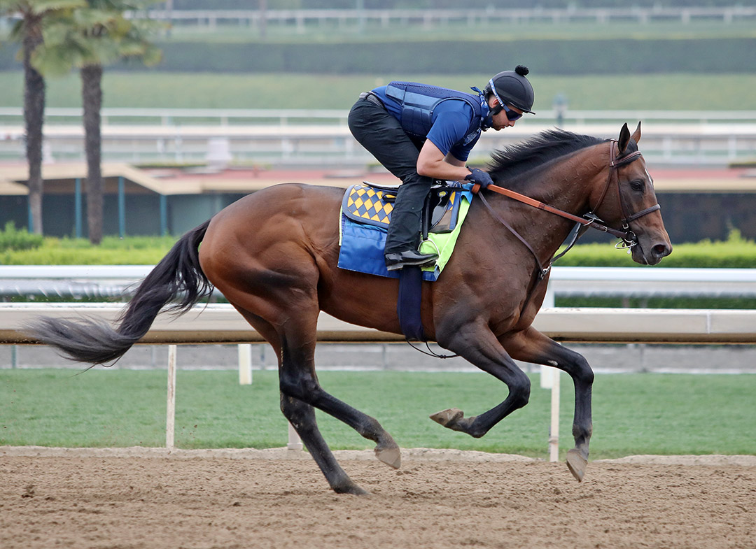 Country Grammer trains at Santa Anita Park in May 2021