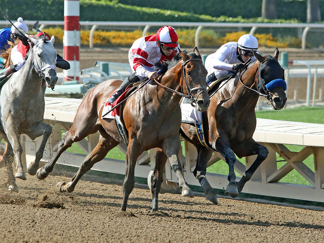 Country Grammer (right) wins the 2021 Hollywood Gold Cup at Santa Anita