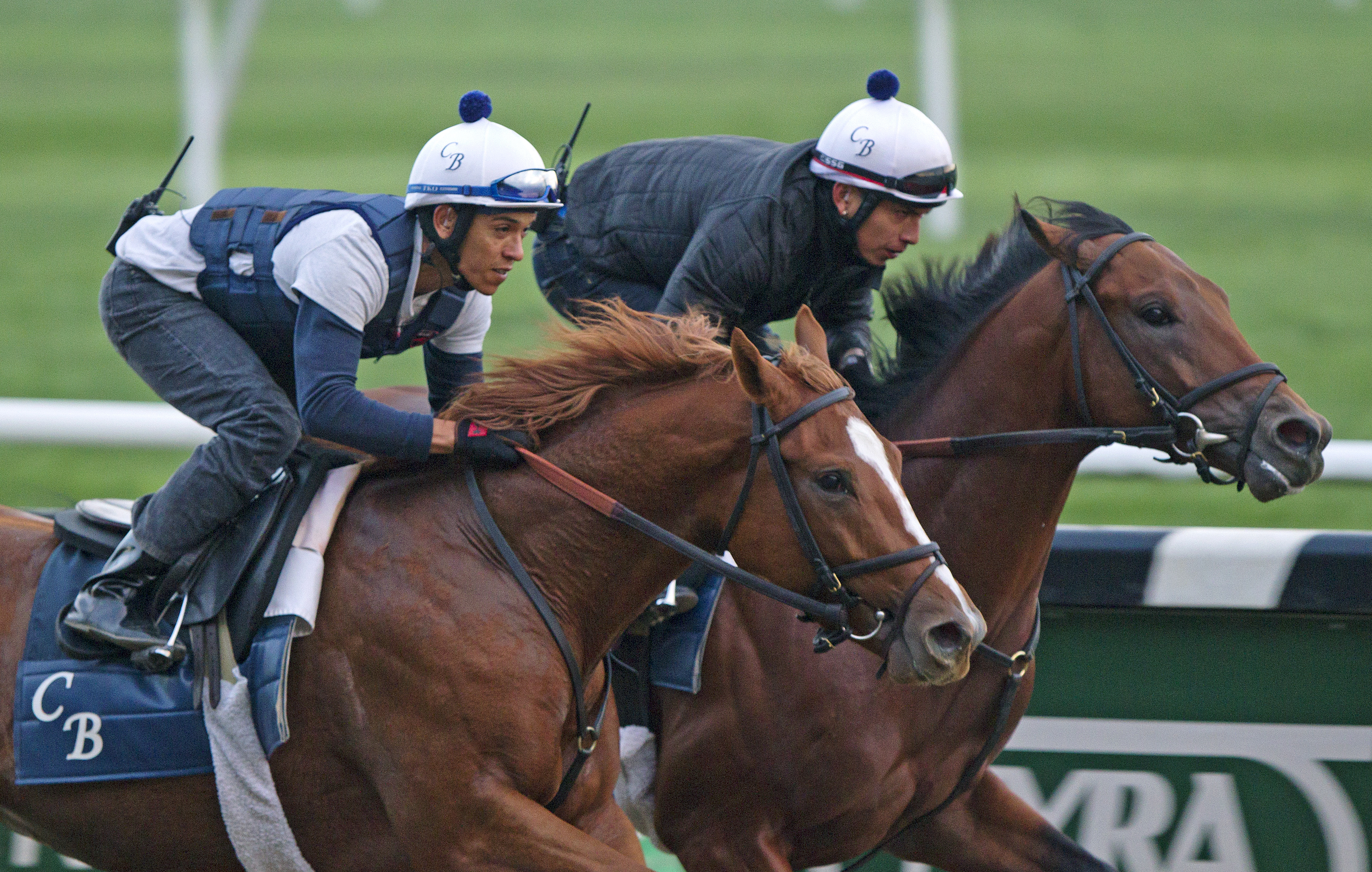 Coup de Grace and The Sandman training at Belmont